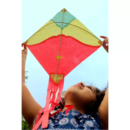 DIY Kite Making Kit